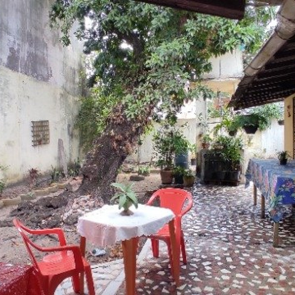 Casa Com Quintal 