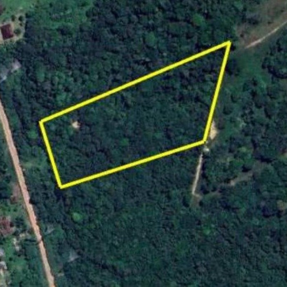 Lote Aurá