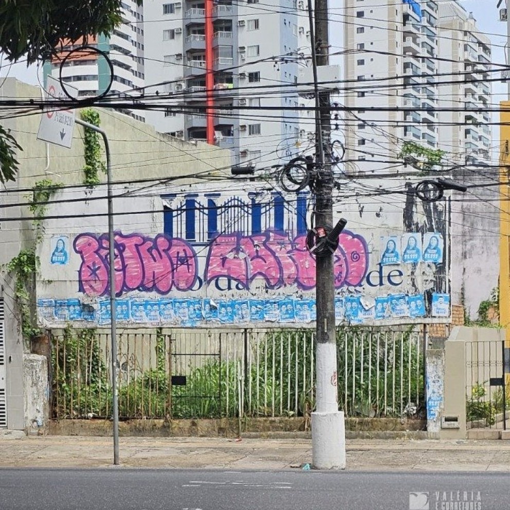Terreno 