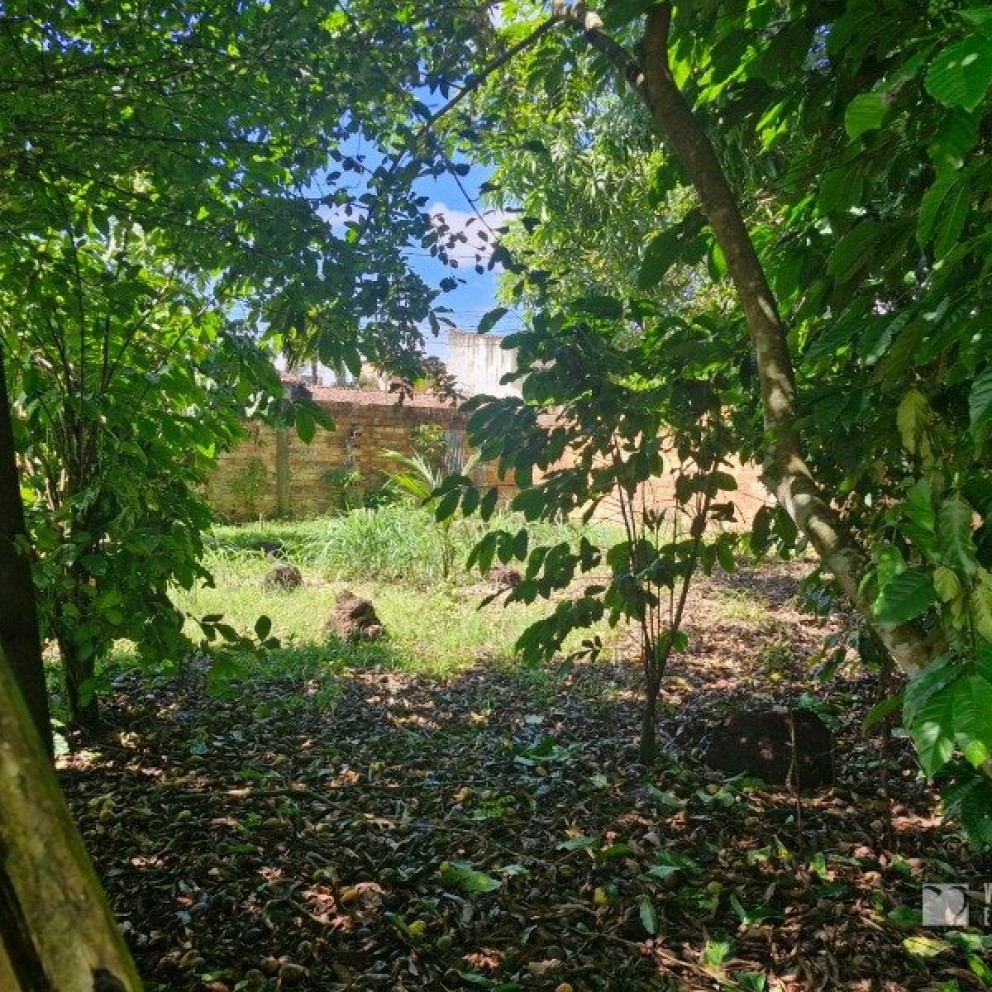 Terreno Com Edificação