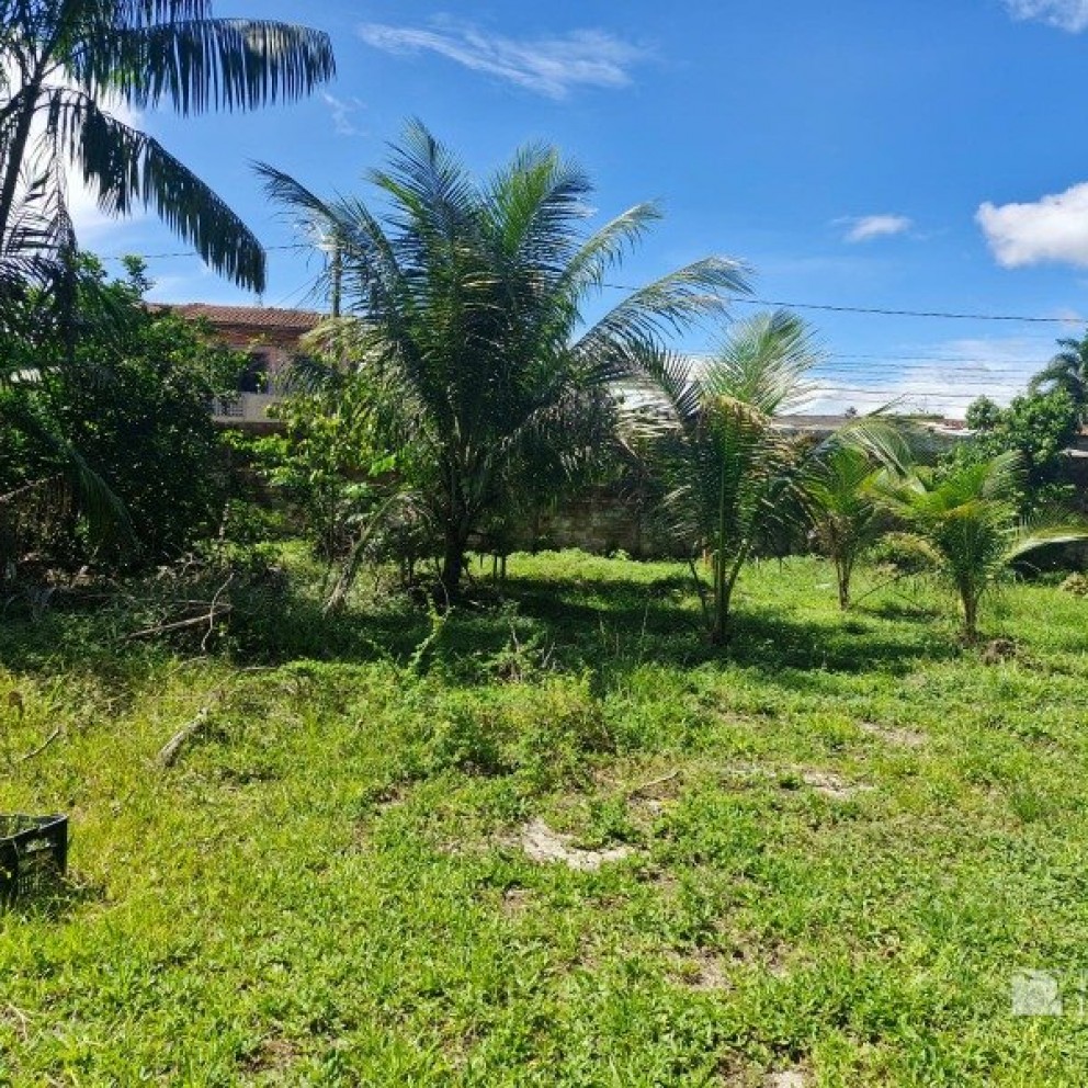 Terreno Com Edificação