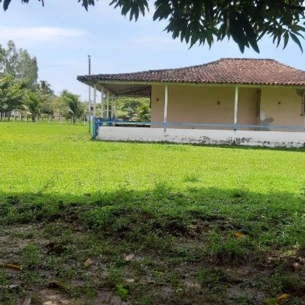 Terreno 