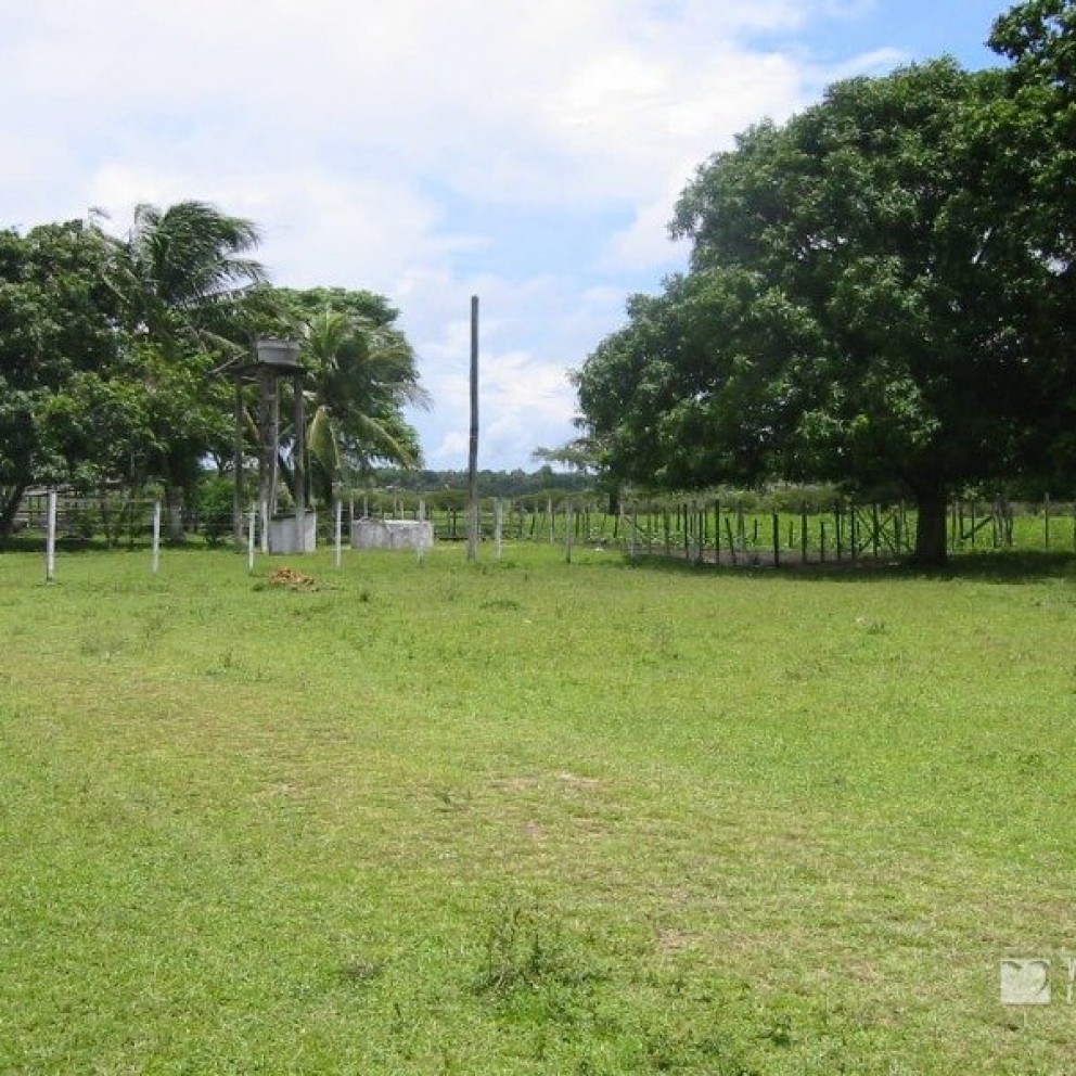 Terreno 