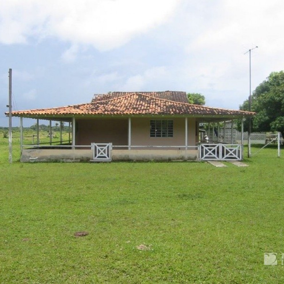 Terreno 
