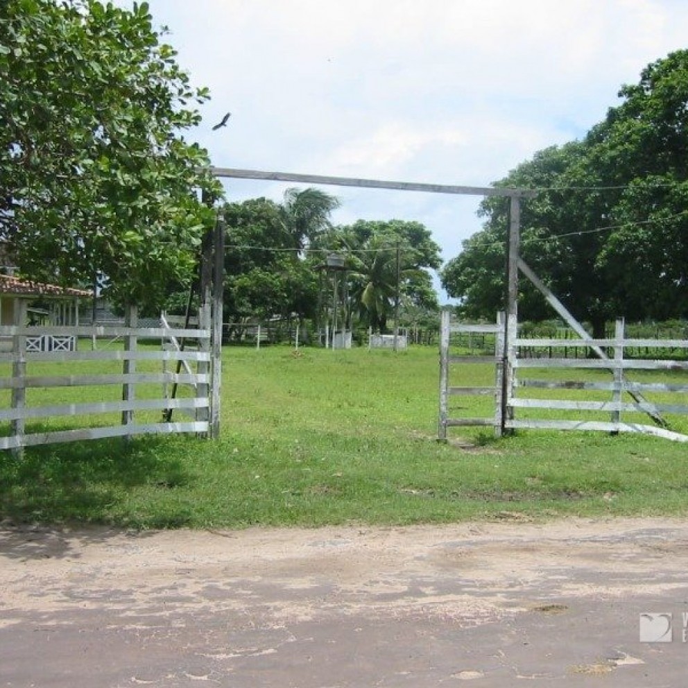Terreno 