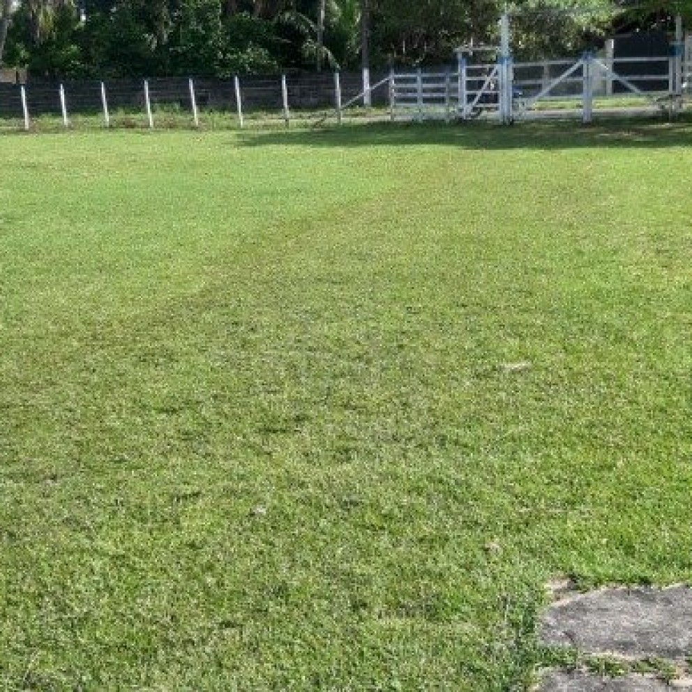 Terreno 