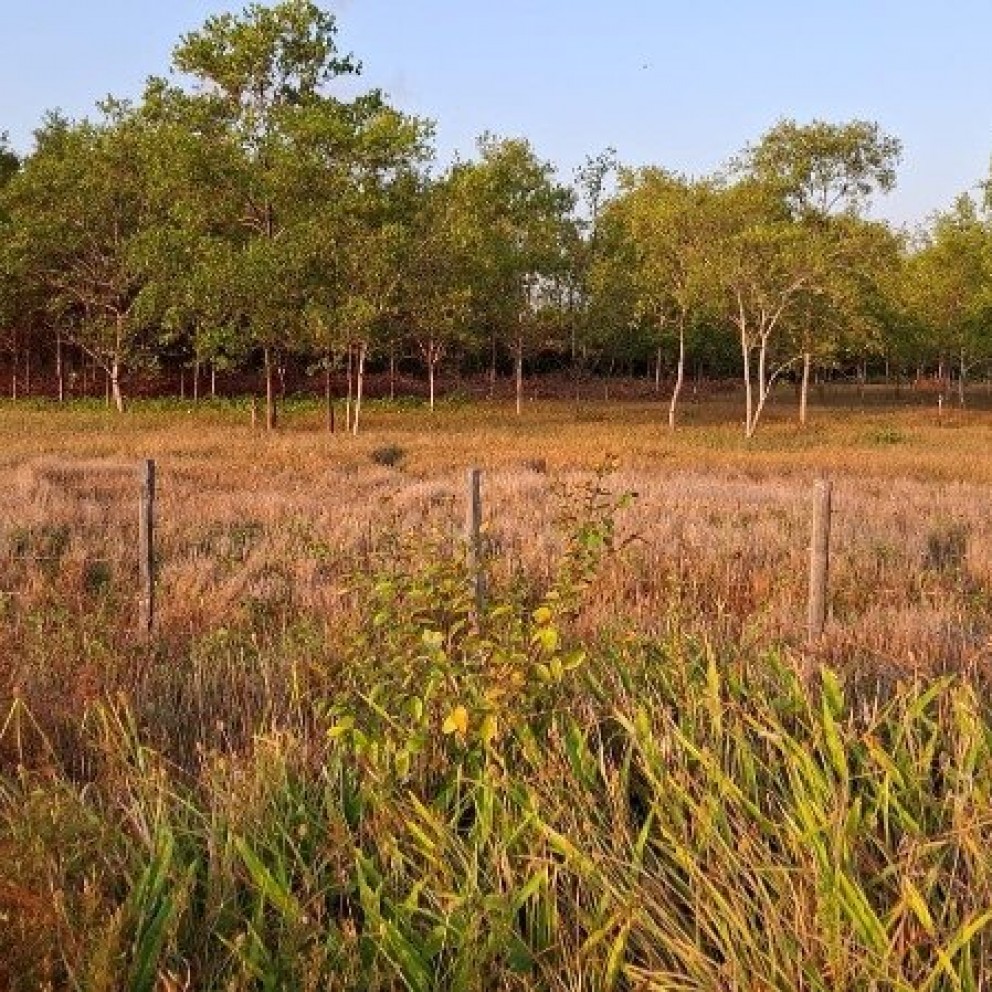 Terreno 