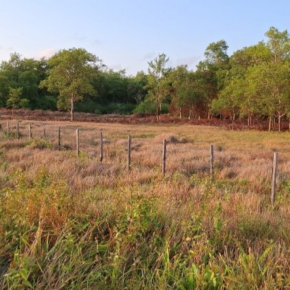 Terreno 