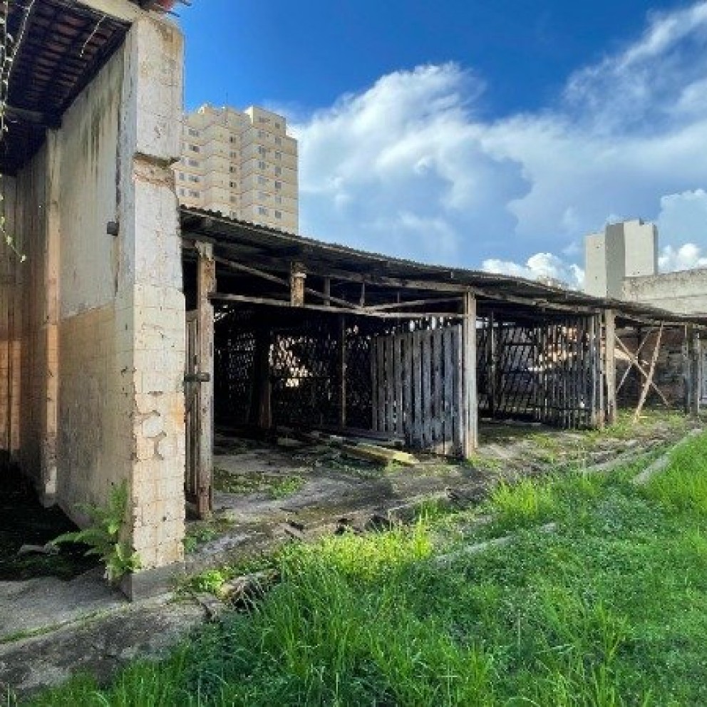 Terreno Com Edificação