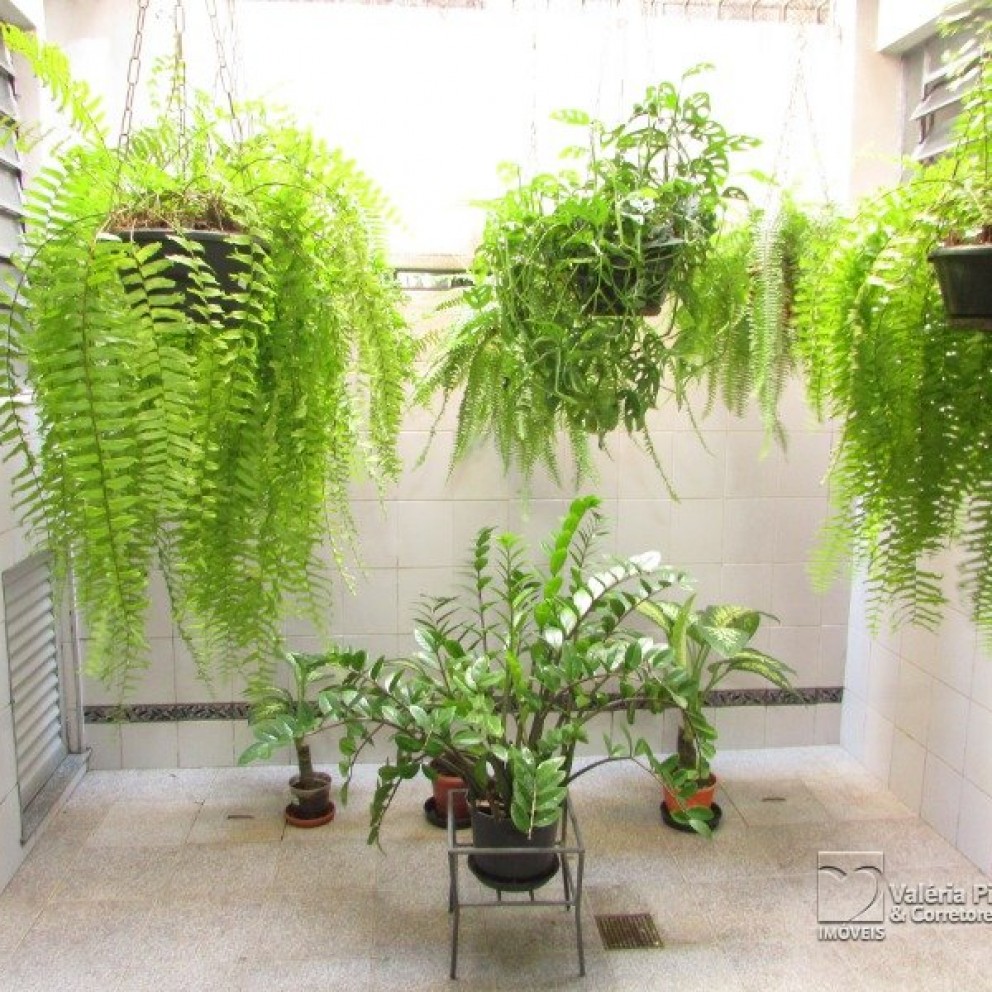 Casa 2 Pavimentos