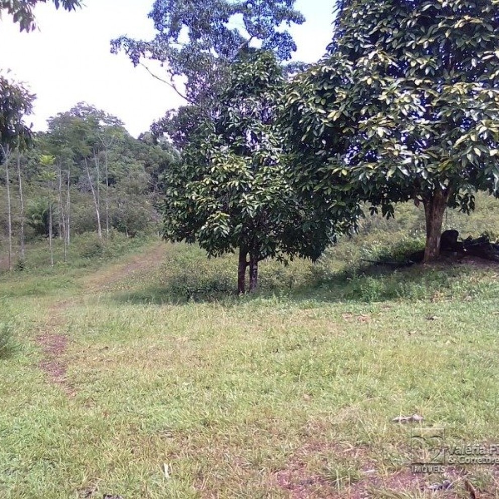 Grande Área C/ 16 Hectares