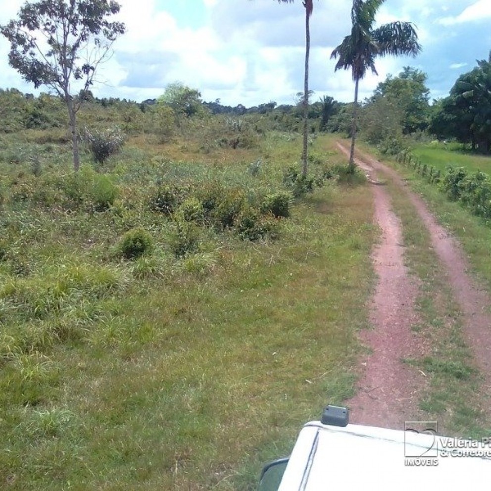 Grande Área C/ 16 Hectares