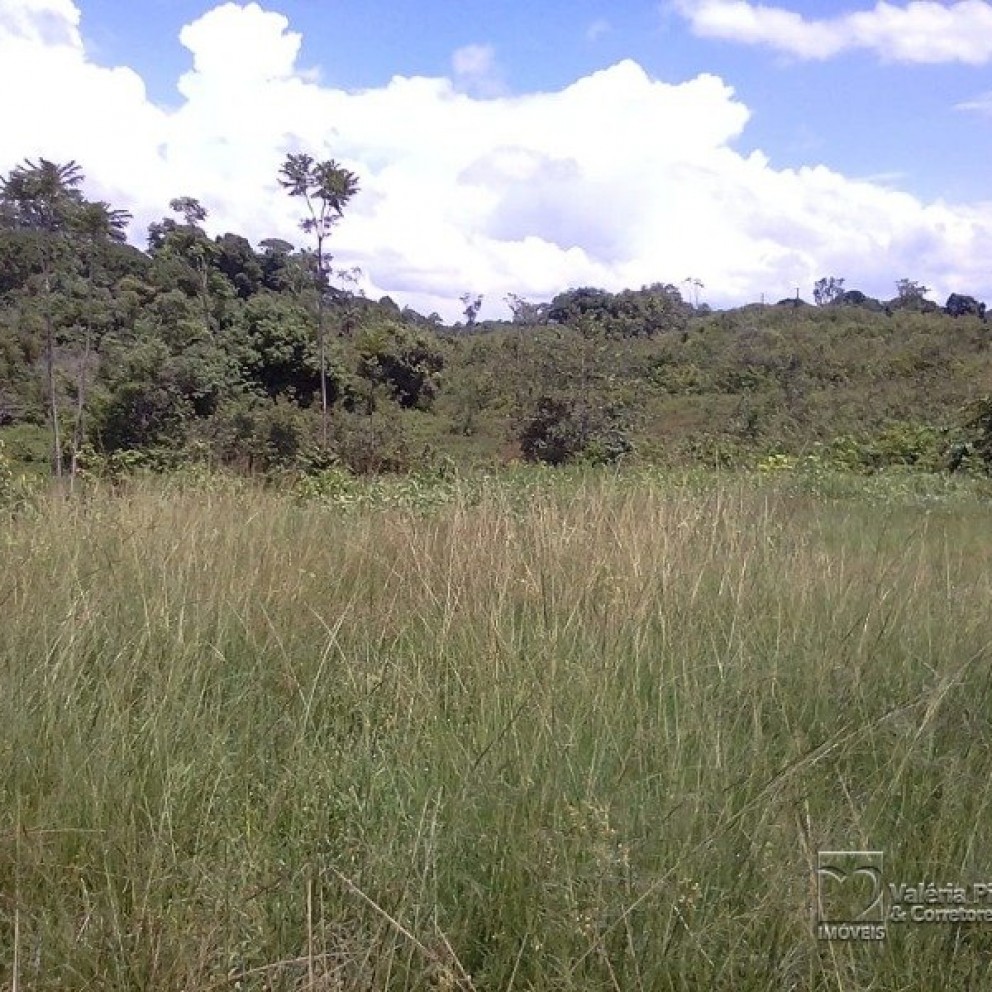 Grande Área C/ 16 Hectares