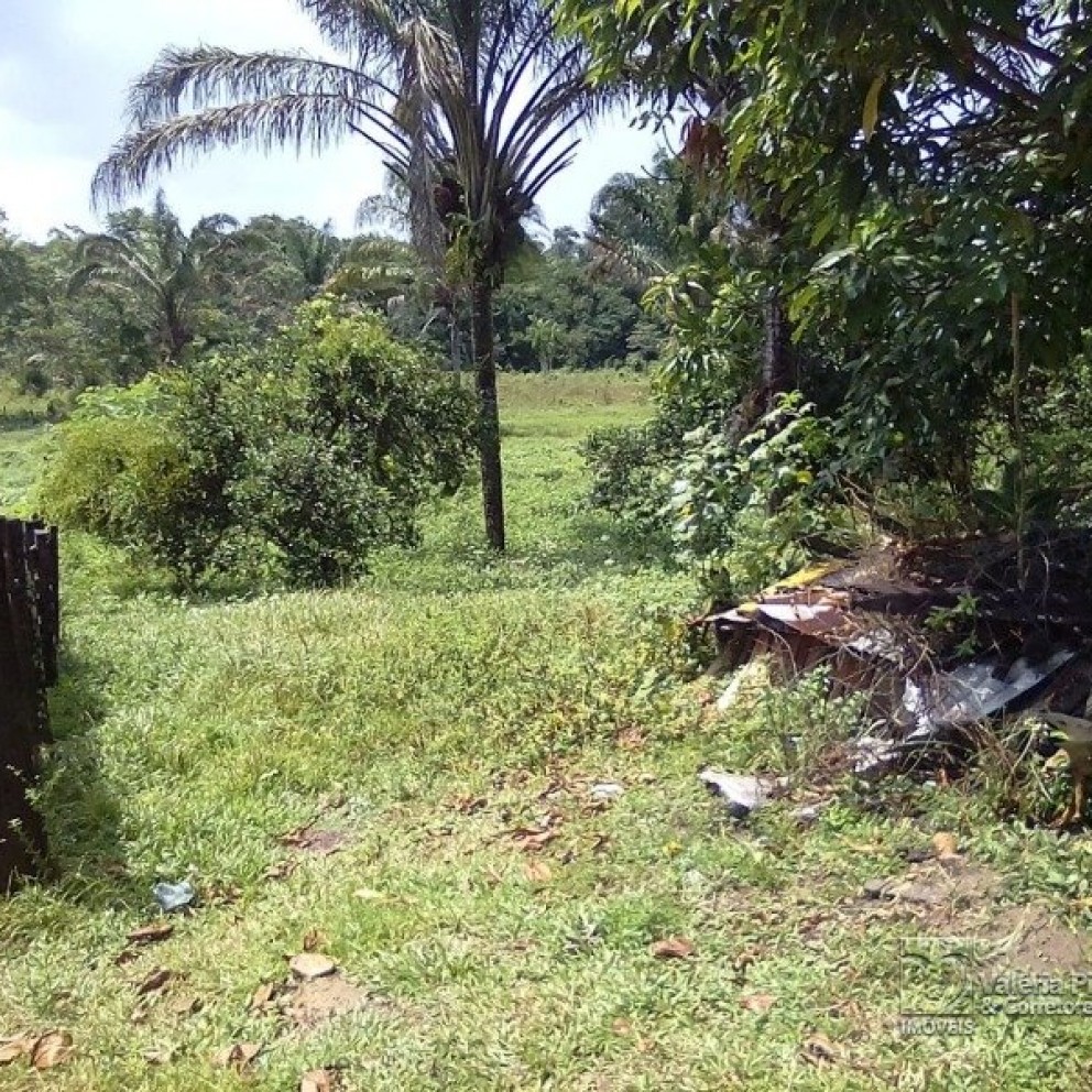 Grande Área C/ 16 Hectares