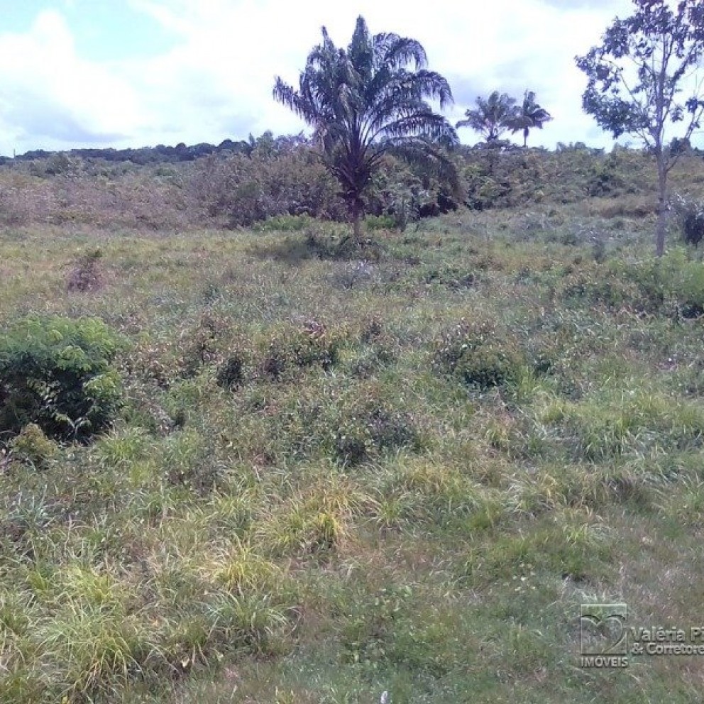 Grande Área C/ 16 Hectares