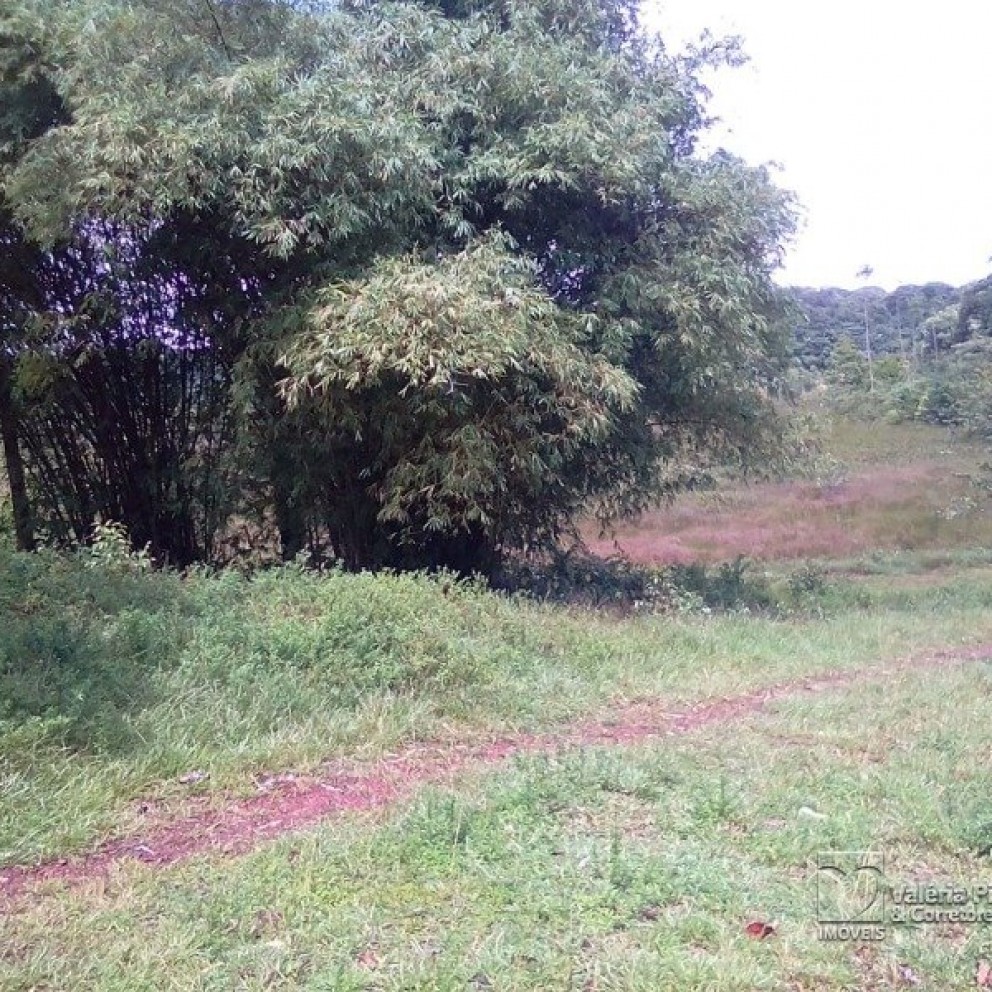 Grande Área C/ 16 Hectares