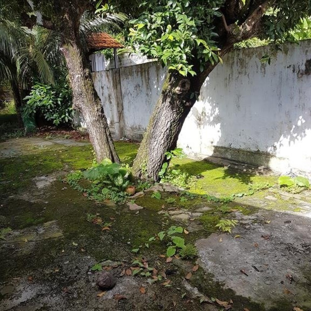 Casa Térrea