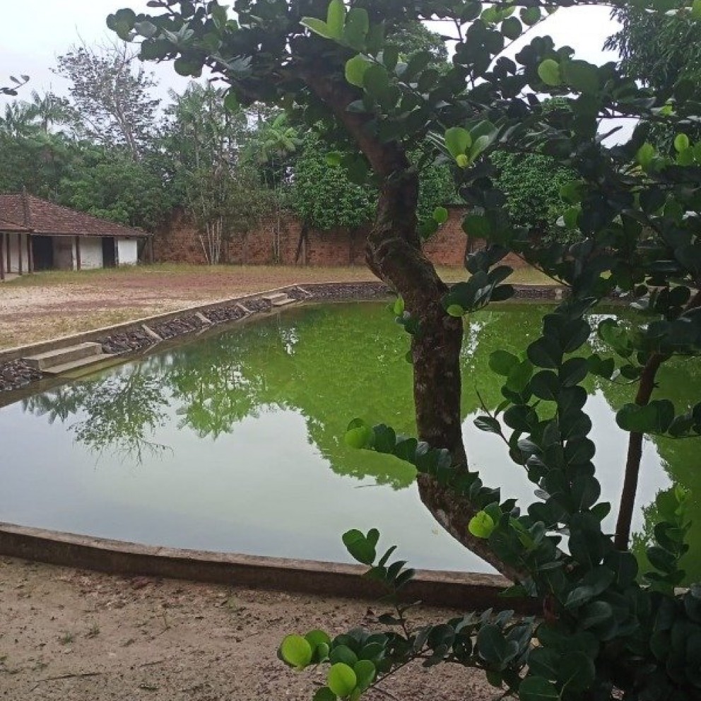 Balneário