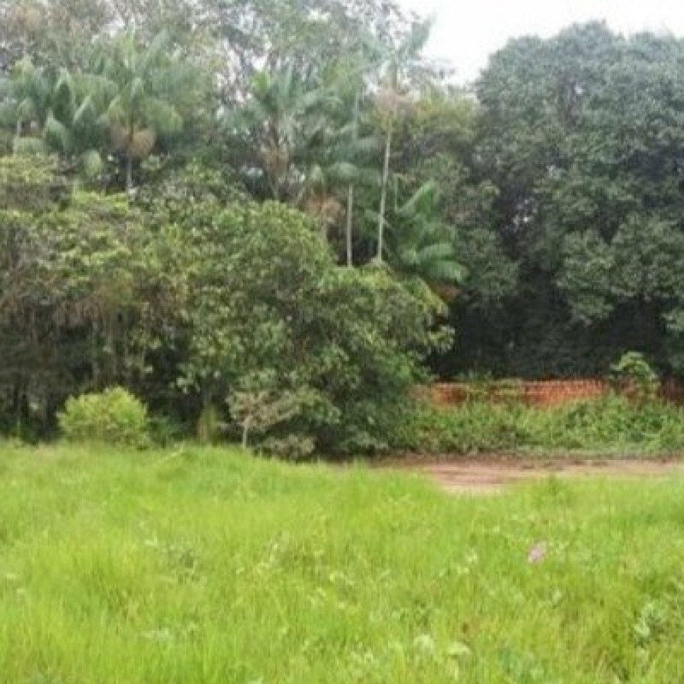 Terreno Na Pedreirinha