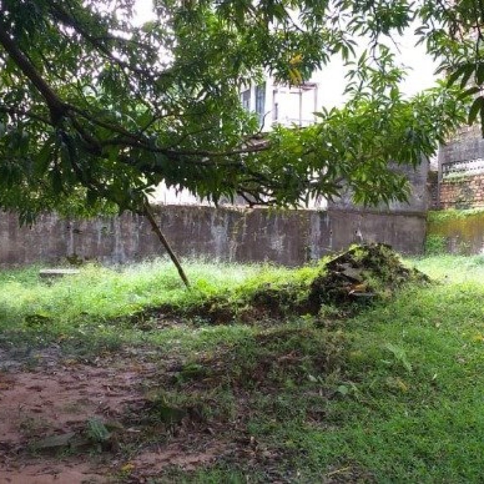 Casarão 