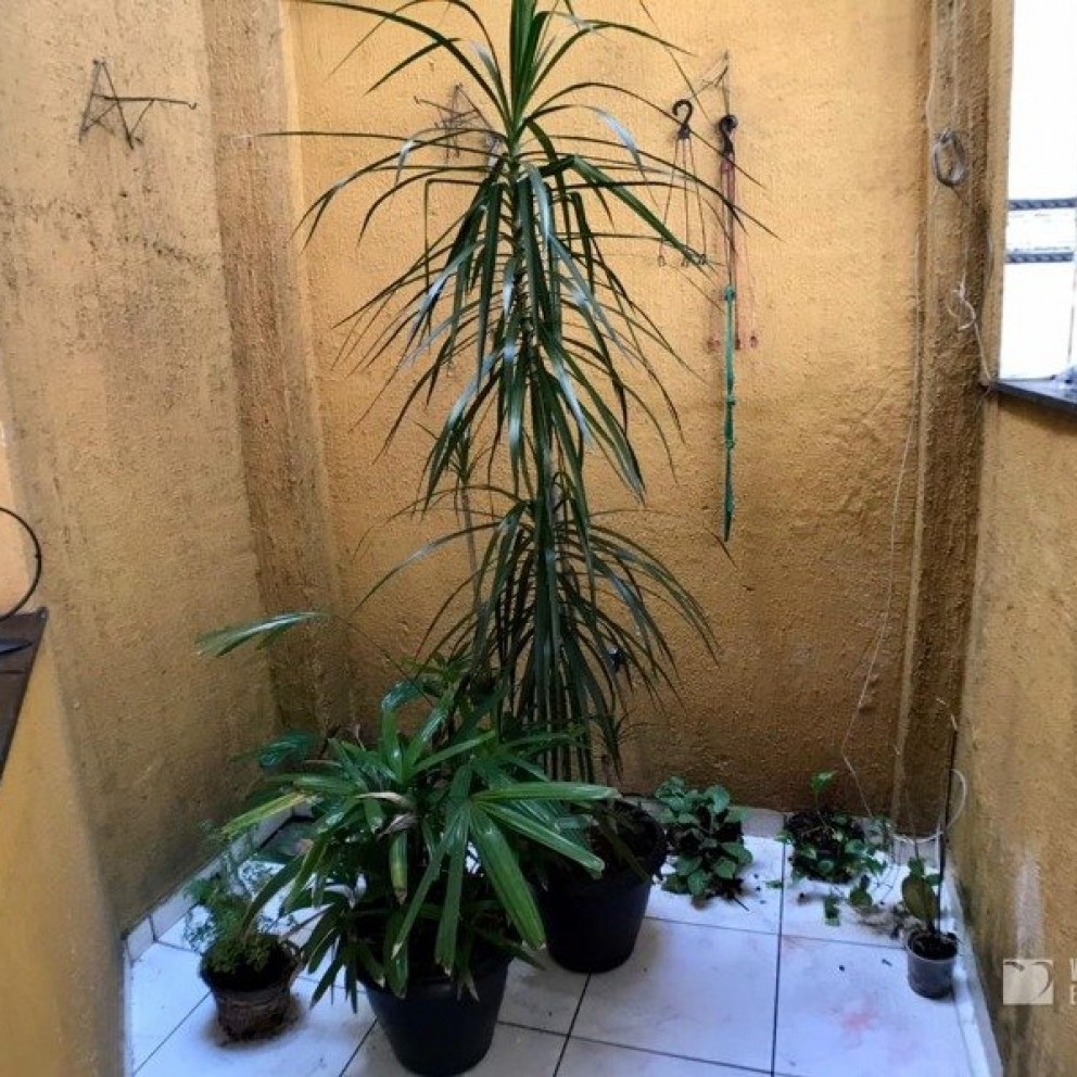 Casa 3 Pavimentos