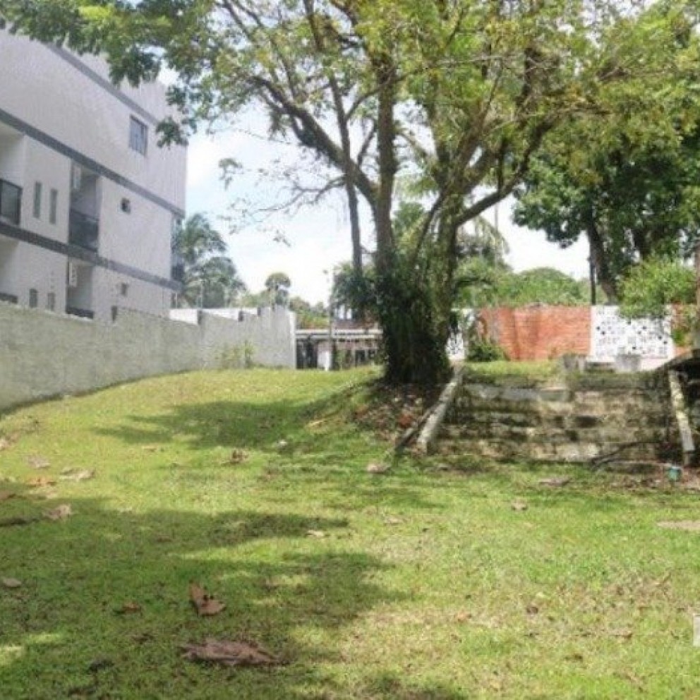 Casa Com Amplo Terreno
