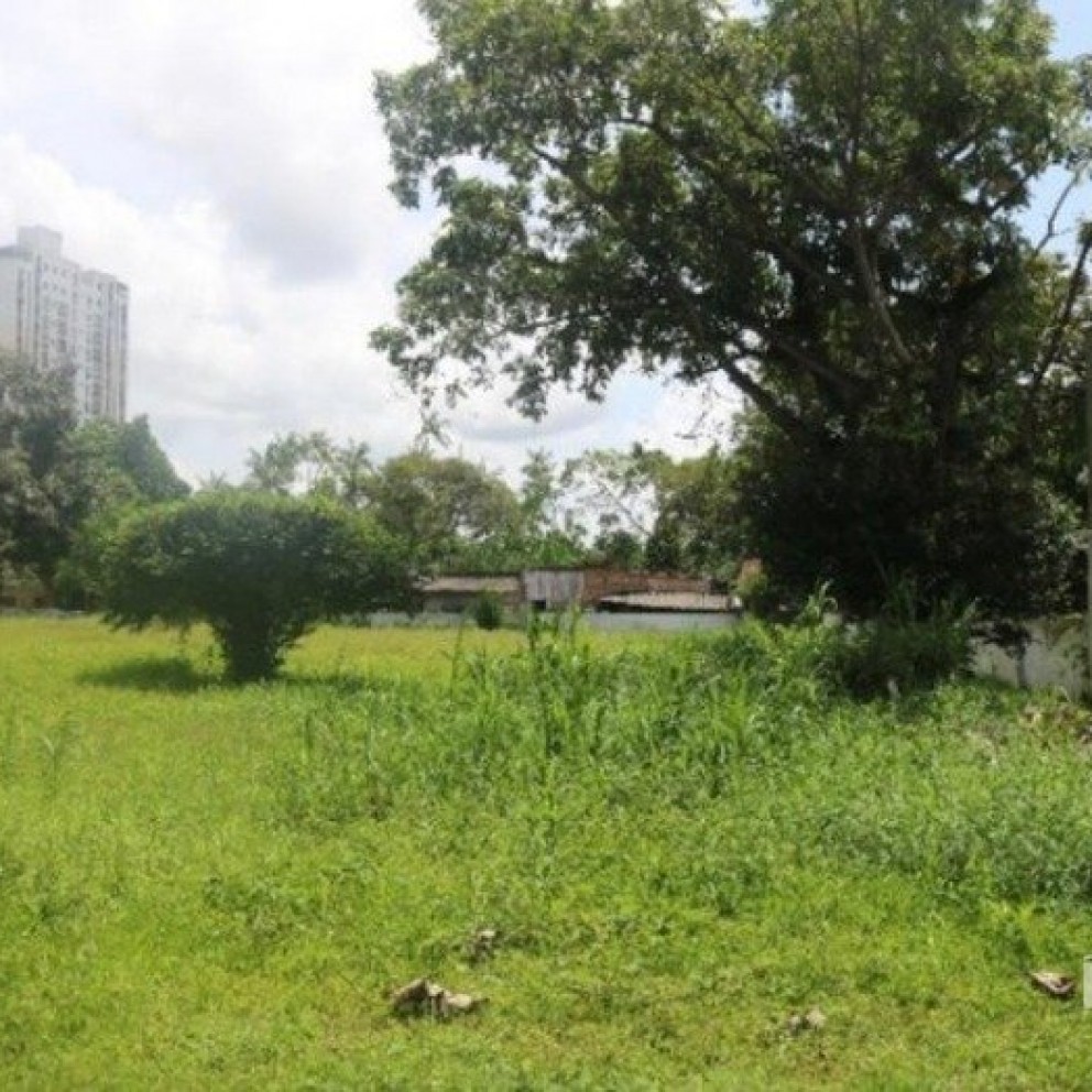 Casa Com Amplo Terreno