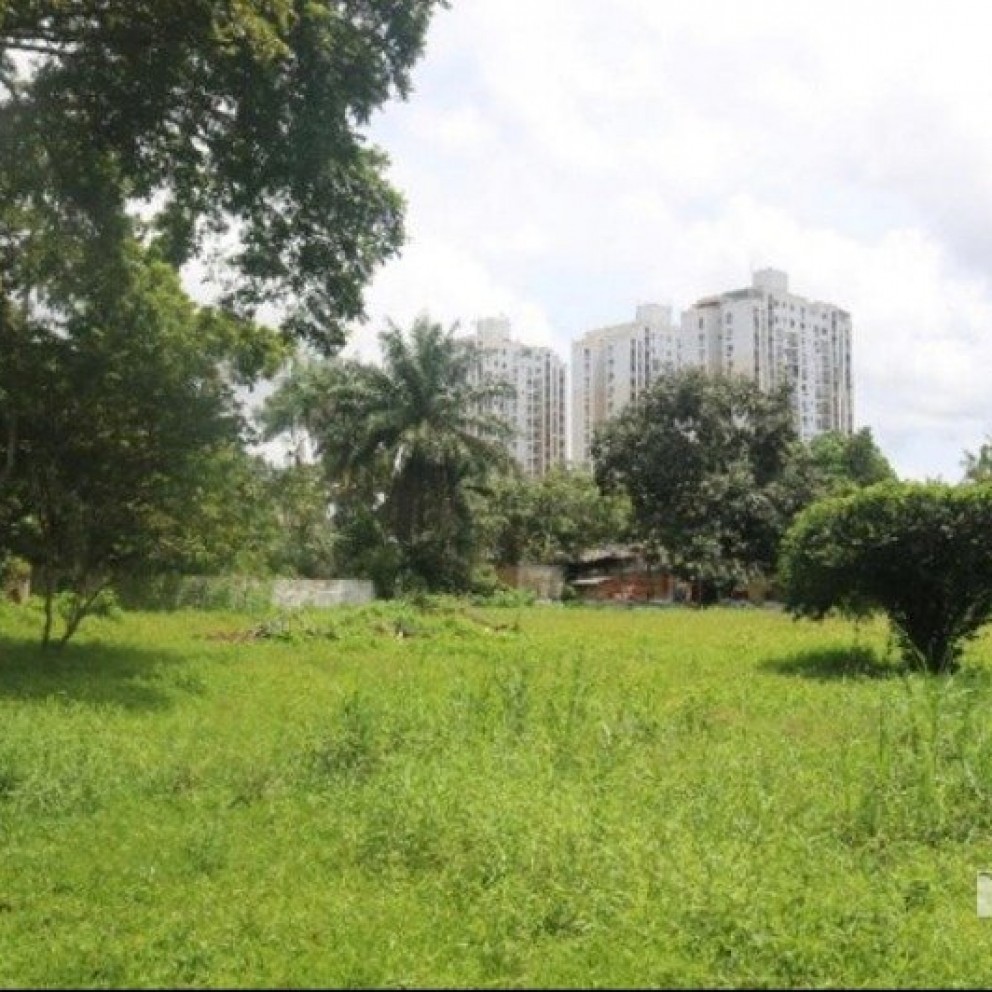 Casa Com Amplo Terreno