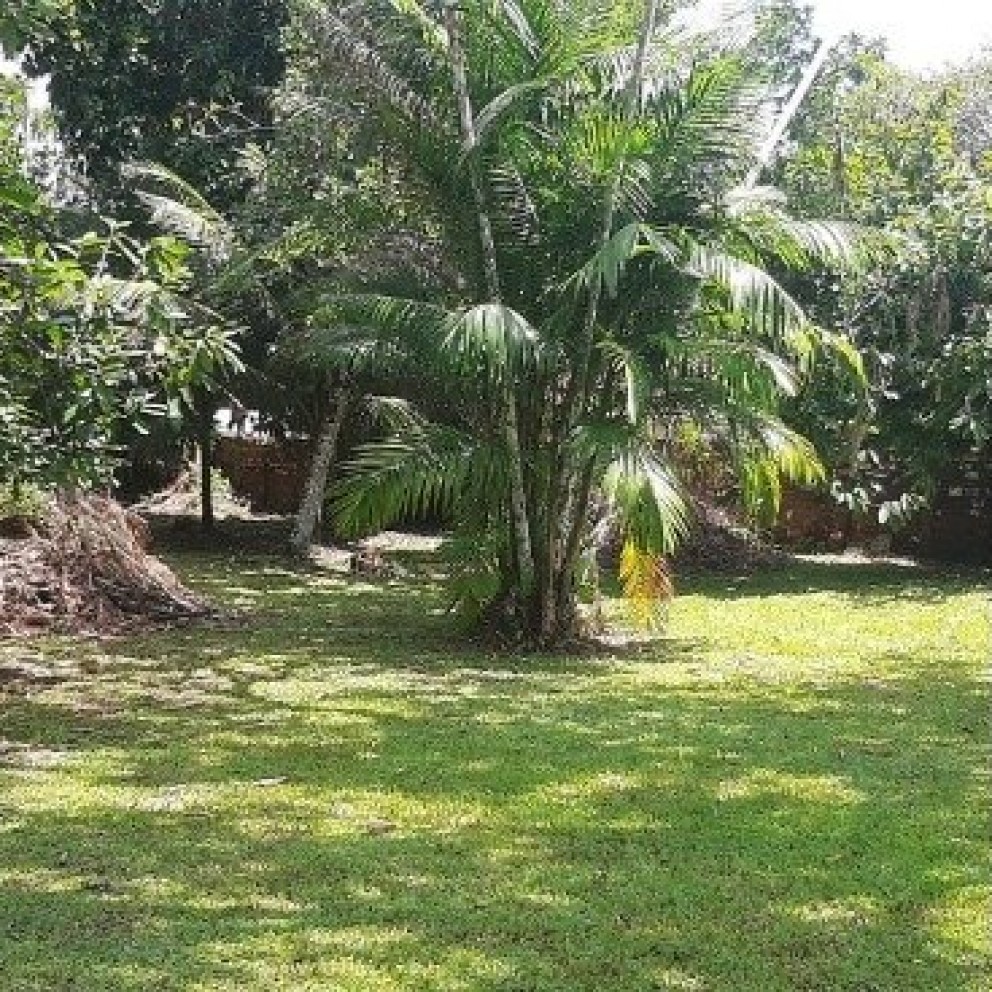 Casa Em Mosqueiro 