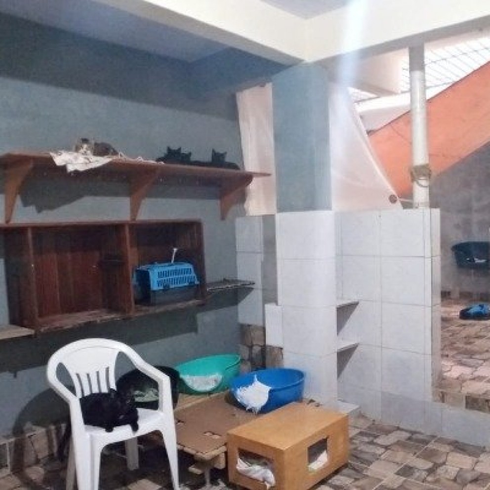 Casa Com 4 Pavimentos