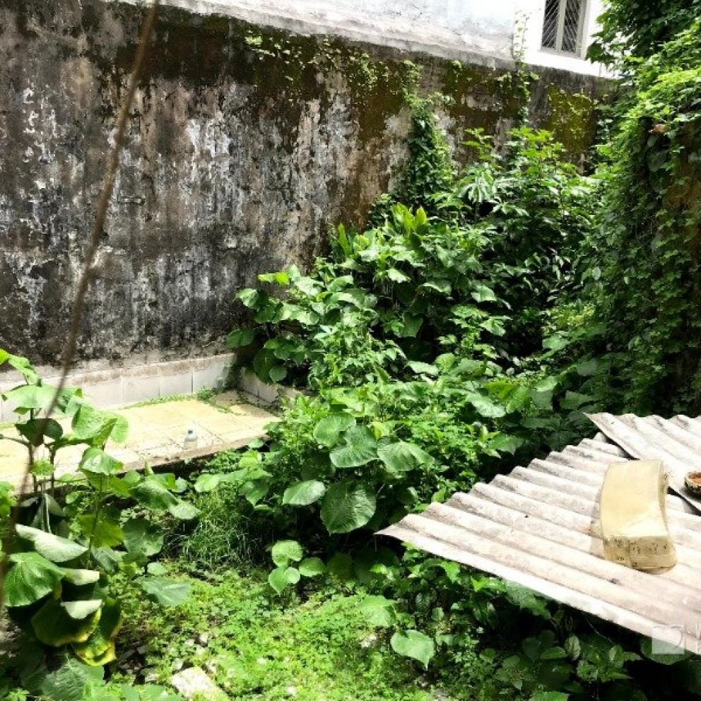 Terreno