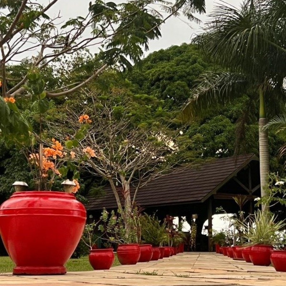 Sítio Em Outeiro 