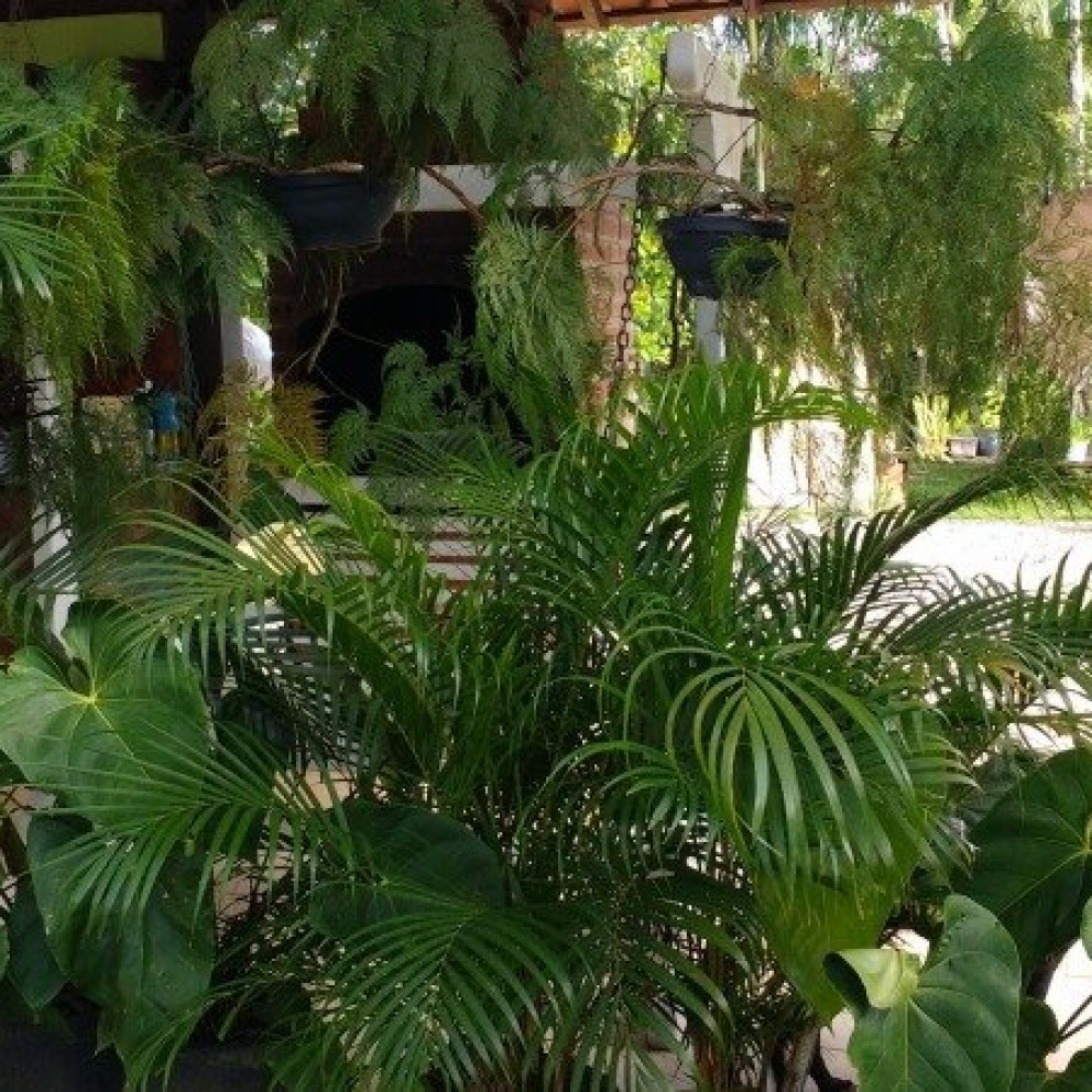 Sitio Lorde