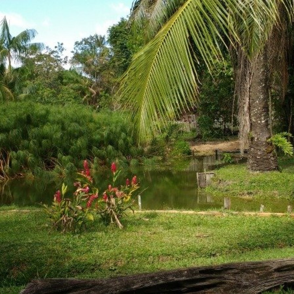 Sitio Lorde
