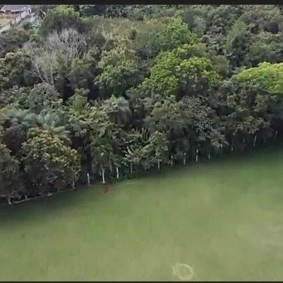 Campo Boticão 