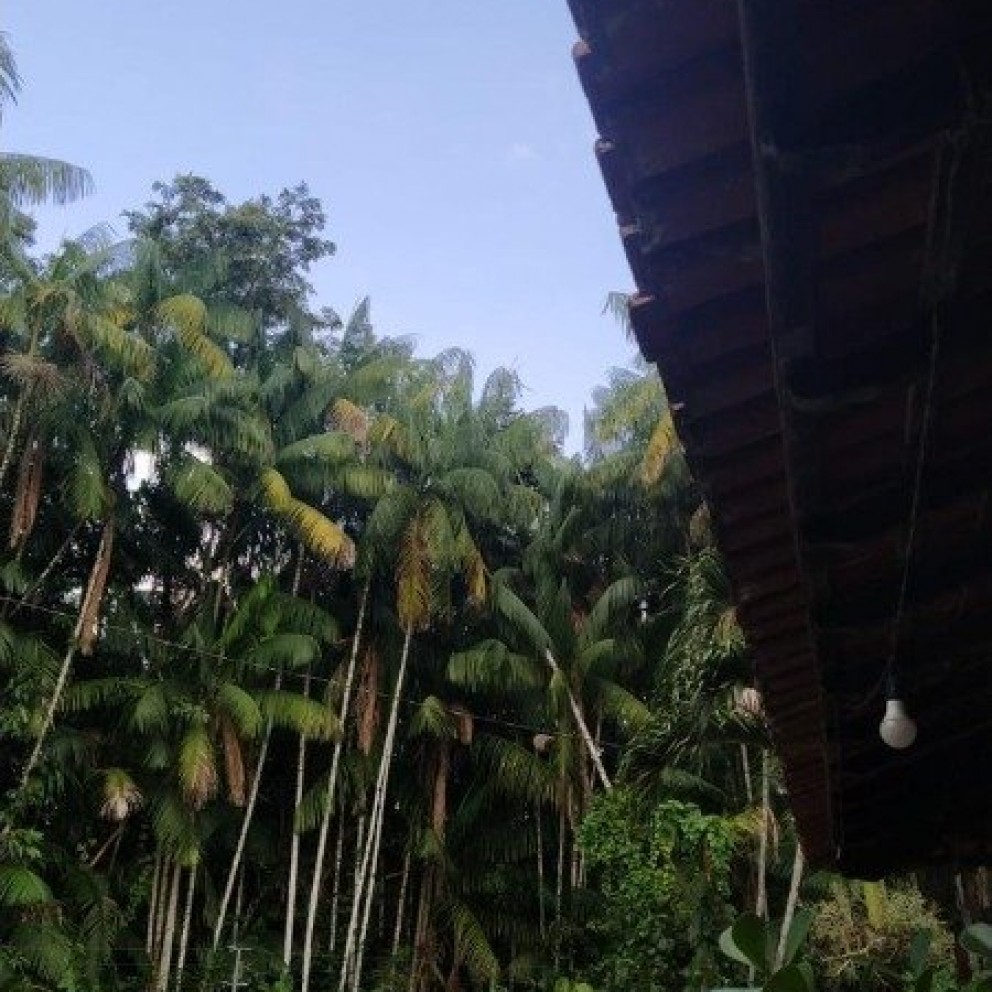 Cond. Morada Verde