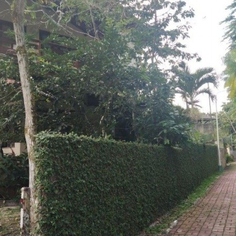 Cond. Morada Verde