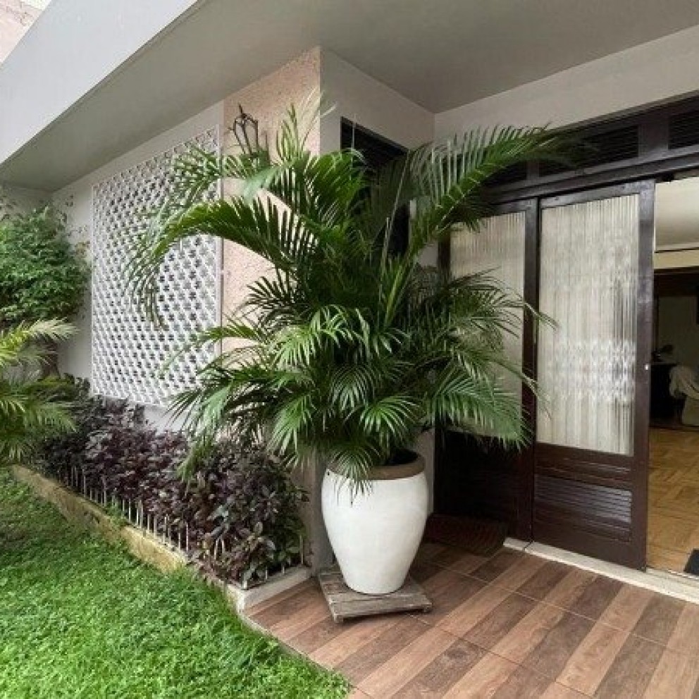 Casa Térrea