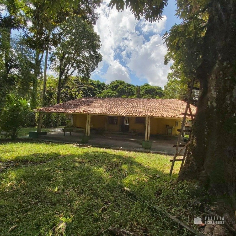 Terreno Com Edificação