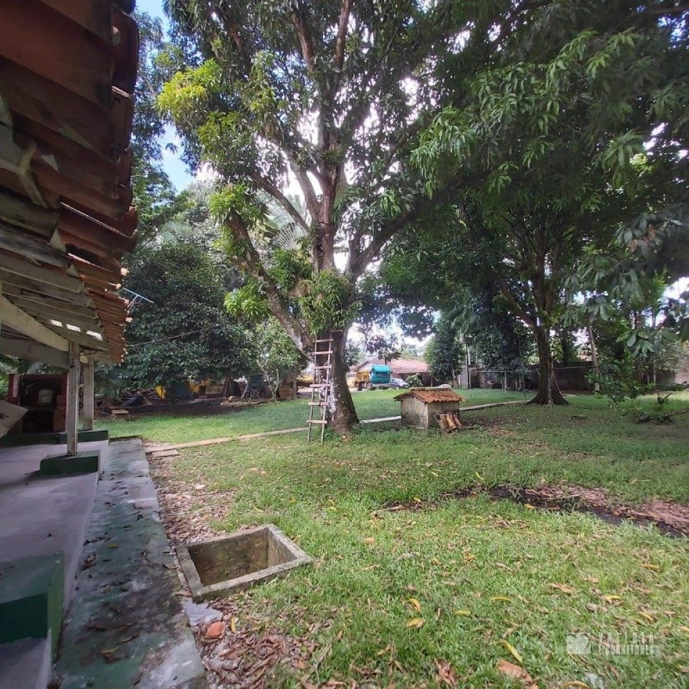 Terreno Com Edificação