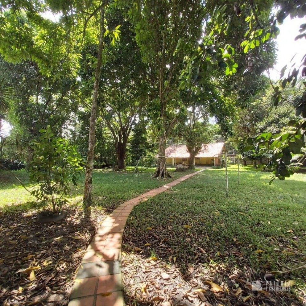 Terreno Com Edificação