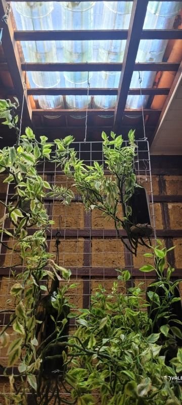 Casa Estilo Loft