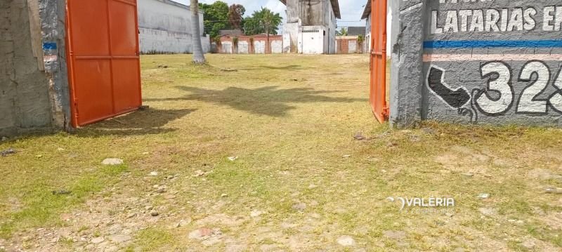 Terreno